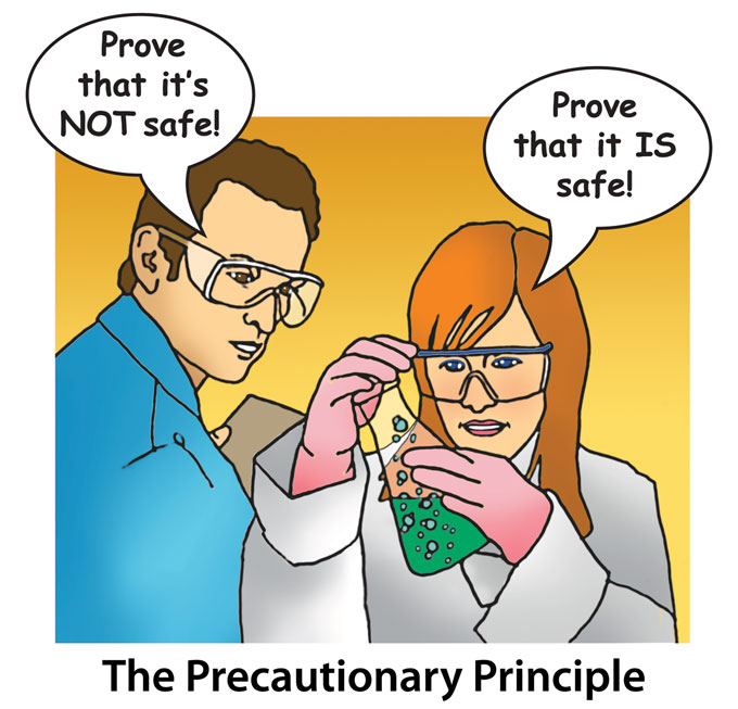 Il principio di precauzione in Europa e Usa