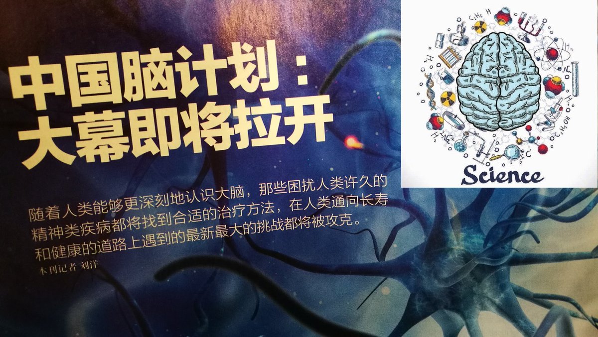 La Cina e la sostenibilità nelle neuroscienze