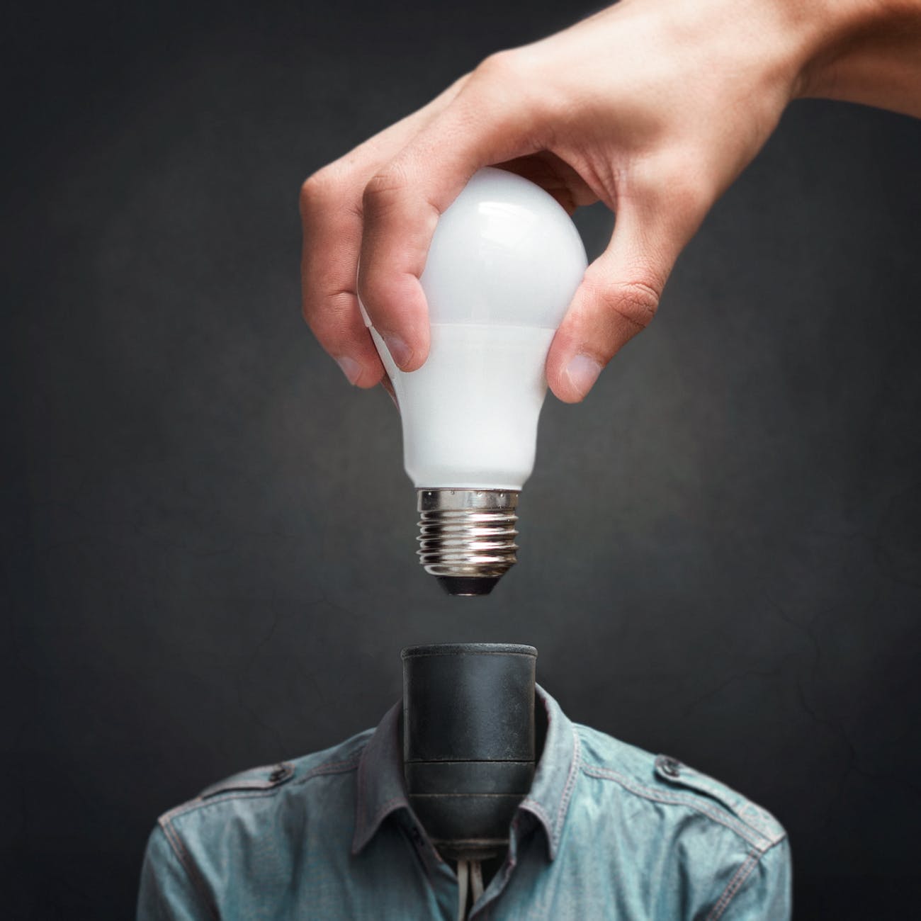 Ontologia dell’intenzionalità non umana