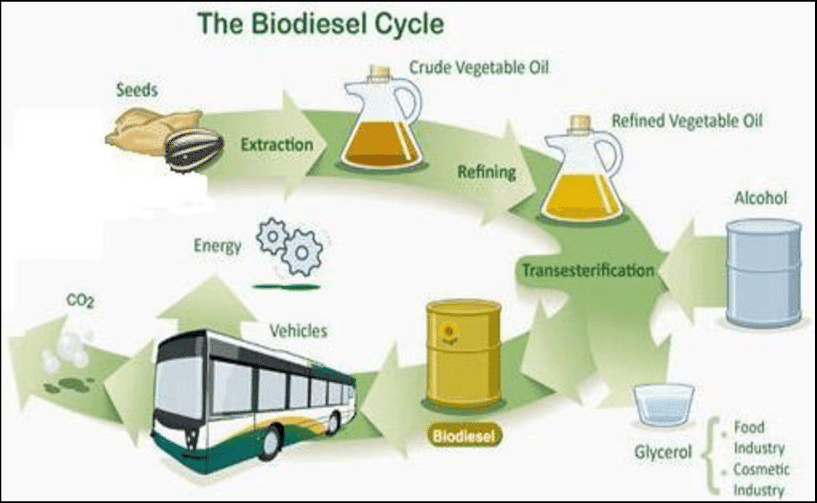 Biodiesel e recupero oli esausti: il ruolo del CONOE