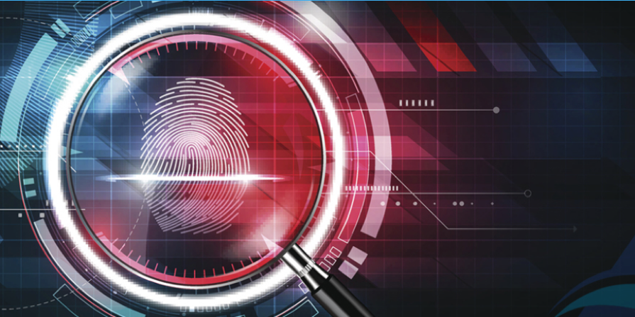 Investigazioni aziendali e modelli di corporate liability