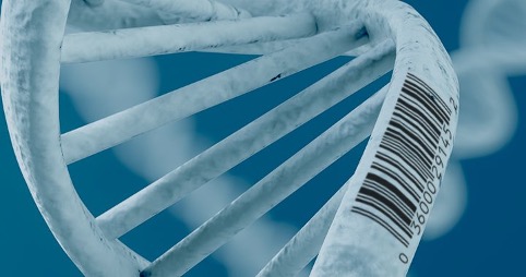 Brevetti e Sequenze Genetiche nell'era del CRISPR-Cas9